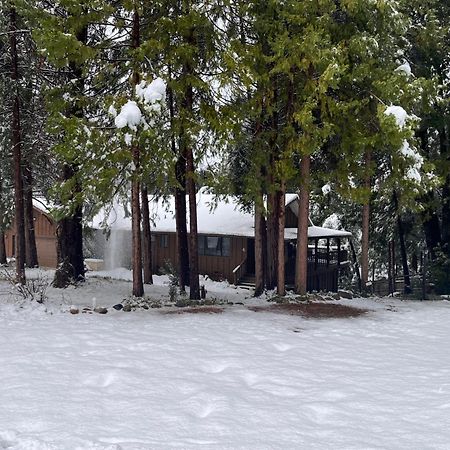 Ponderosa Creekside Retreat Villa Mariposa Exterior photo